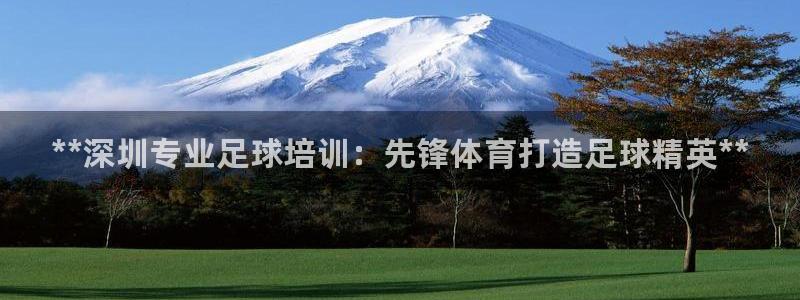 极悦平台是干嘛的：**深圳专业足球培训：先锋体育打造足球精英