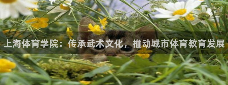 极悦平台注册申请流程详解视频