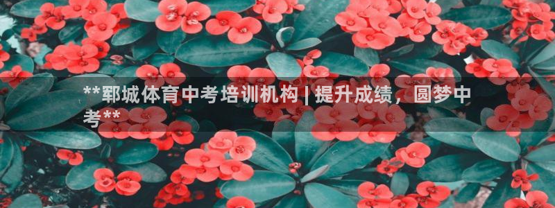 极悦平台是干什么的：**郓城体育中考培训机构 | 提升成绩，