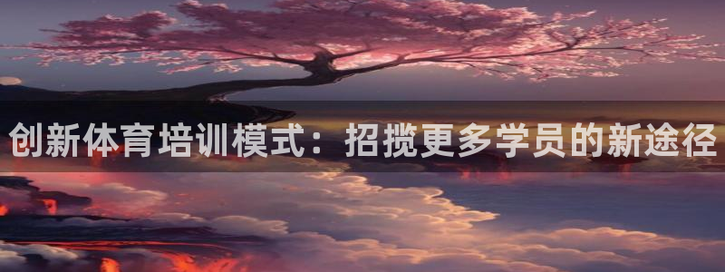 极悦平台代理怎么做的：创新体育培训模式：招揽更多学员的新途径