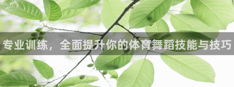 极悦娱乐代理怎么样知乎：专业训练，全面提升你的体育舞