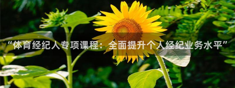 极悦平台使用教程图解：“体育经纪人专项课程：全面提升个人经纪