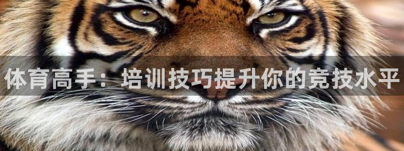 极悦娱乐股东有哪些