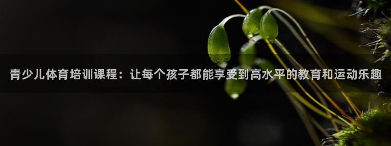 极悦平台代理怎么样：青少儿体育培训课程：让每个孩子都能享受到