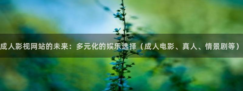 战地影院高清1080