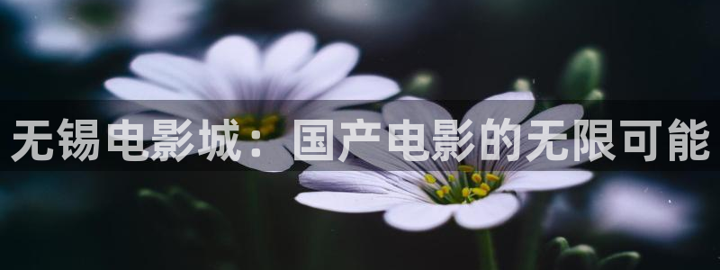 战地影院在线