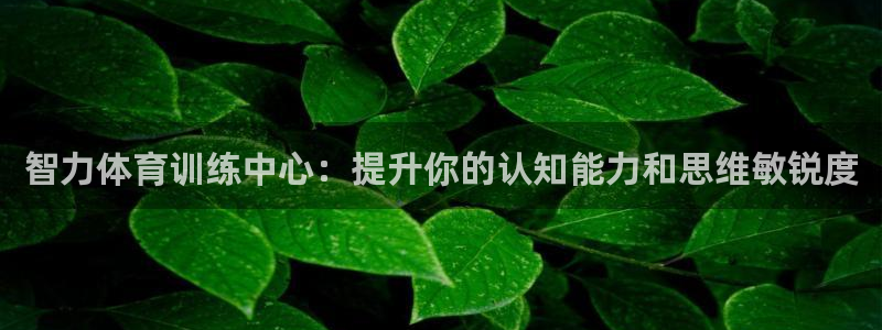 极悦娱乐贴吧百度：智力体育训练中心：提升你的认知能力