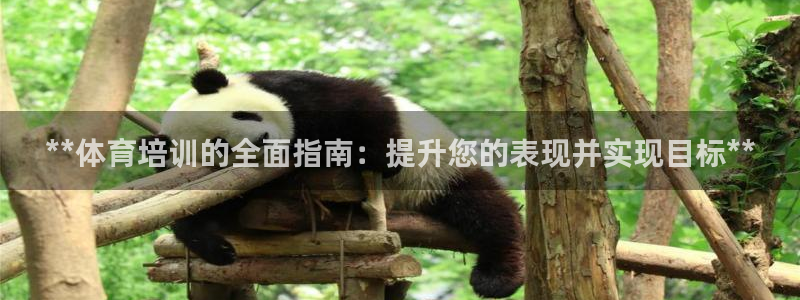极悦平台是什么平台的：**体育培训的全面指南：提升您