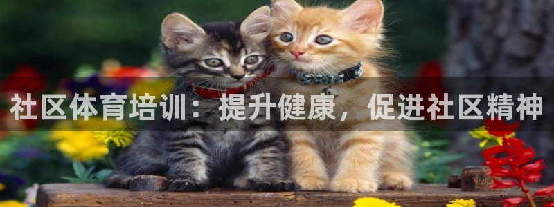 极悦平台官方网站首页：社区体育培训：提升健康，促进社