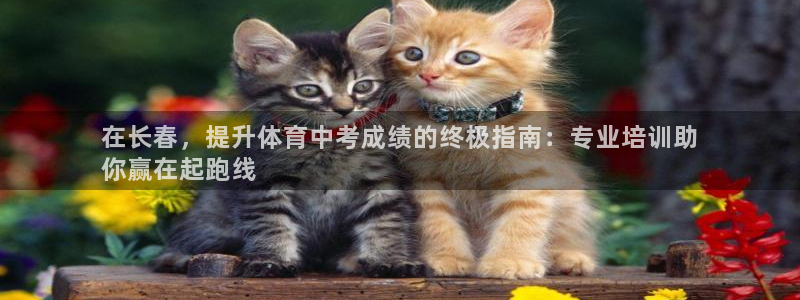 极悦平台官方网站登录网址：在长春，提升体育中考成绩的