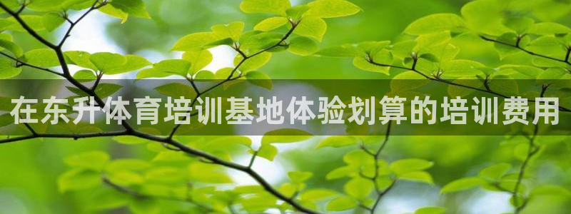 极悦官网首页登录入口下载：在东升体育培训基地体验划算