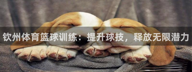 极悦平台登录不进去怎么回事呀：钦州体育篮球训练：提升