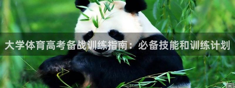 极悦官网首页登录入口网站：大学体育高考备战训练指南：