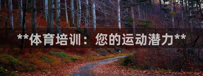 极悦官网入口登录：**体育培训：您的运动潜力**