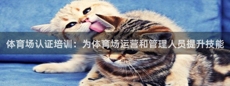 极悦平台注册流程：体育场认证培训：为体育场运营和管理