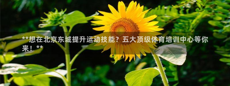 极悦平台是什么公司：**想在北京东城提升运动技能？五
