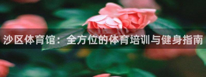 极悦平台注册官网网址：沙区体育馆：全方位的体育培训与