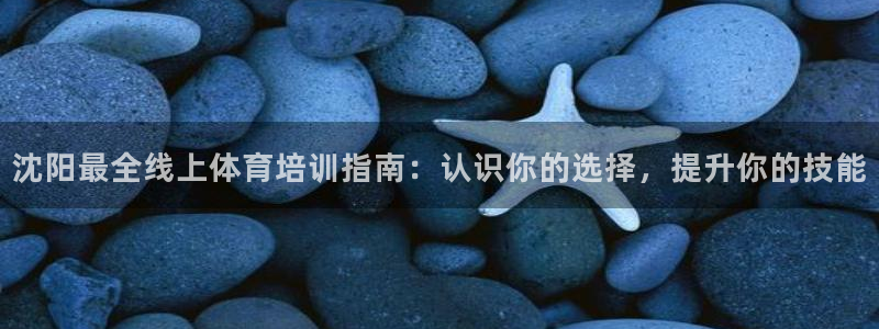 极悦娱乐的创始人背景故事：沈阳最全线上体育培训指南：