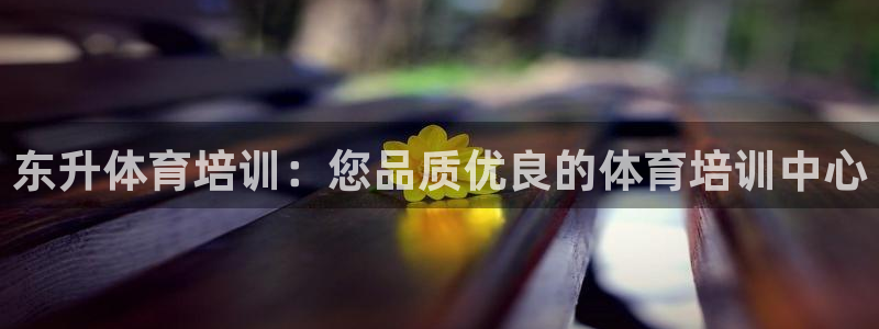 极悦娱乐的最新版本更新内容在哪：东升体育培训：您品质