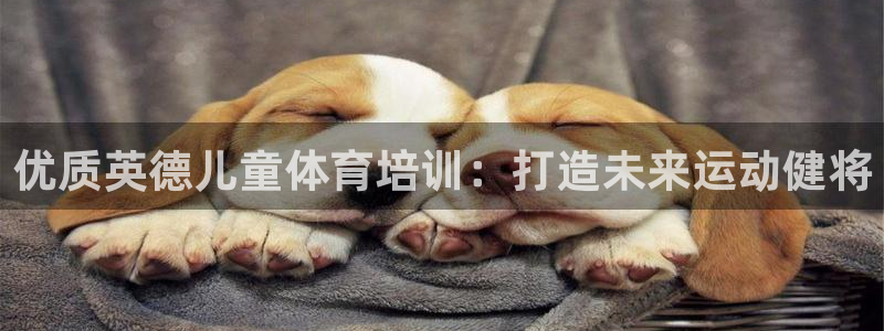 极悦平台注册：优质英德儿童体育培训：打造未来运动健将