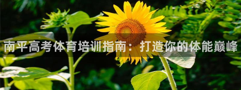 极悦官网的登录方法是什么：南平高考体育培训指南：打造