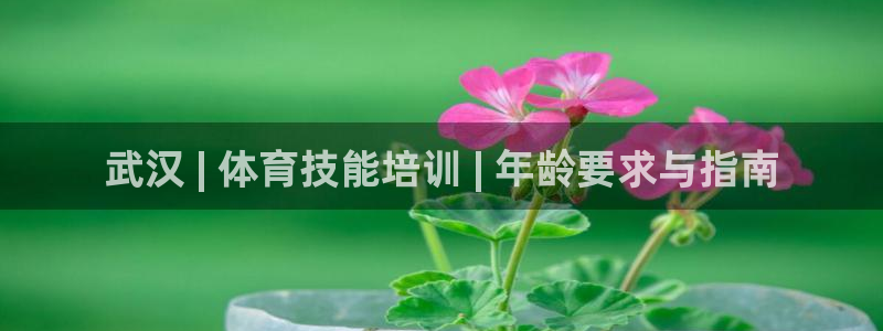 极悦平台平台注册方法与步骤是什么：武汉 | 体育技能
