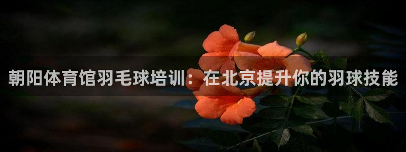 极悦平台有风险吗安全吗：朝阳体育馆羽毛球培训：在北京