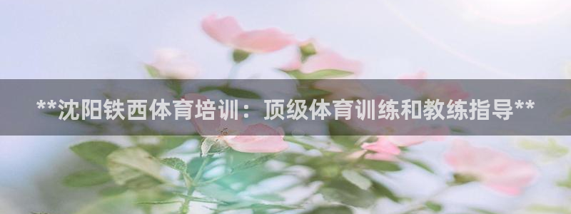 极悦娱乐股东结构：**沈阳铁西体育培训：顶级体育训练