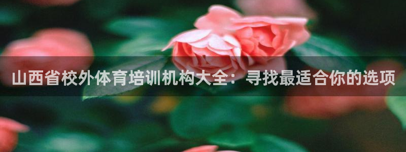 极悦平台是正规平台吗安全吗可靠吗：山西省校外体育培训