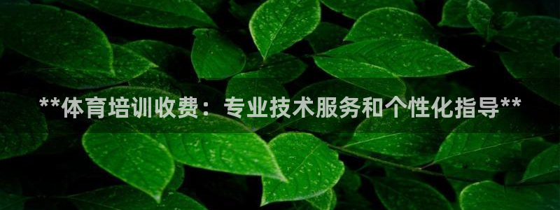 极悦平台注册官方网站下载安卓：**体育培训收费：专业