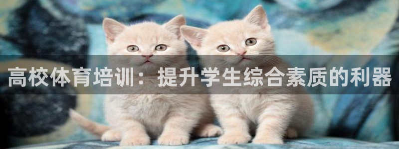 极悦平台官网登录入口网址查询：高校体育培训：提升学生
