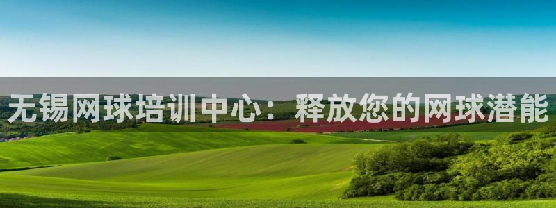 极悦平台注册官方网站下载手机版：无锡网球培训中心：释