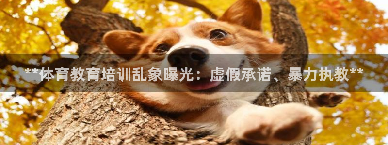 极悦平台是什么平台的：**体育教育培训乱象曝光：虚假