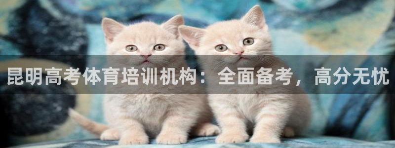 极悦平台和蓝狮平台区别是什么：昆明高考体育培训机构：
