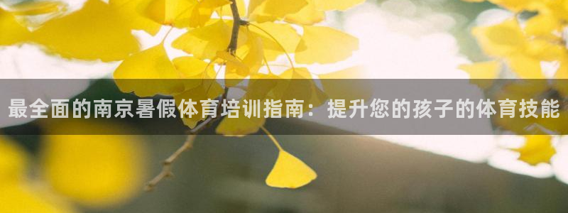 极悦平台是什么平台的：最全面的南京暑假体育培训指南：