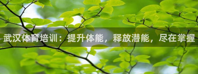 极悦官方网站入口网址大全：武汉体育培训：提升体能，释