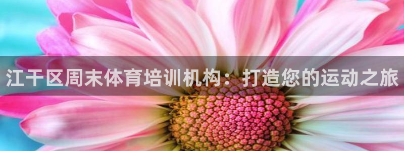 极悦平台代理：江干区周末体育培训机构：打造您的运动之