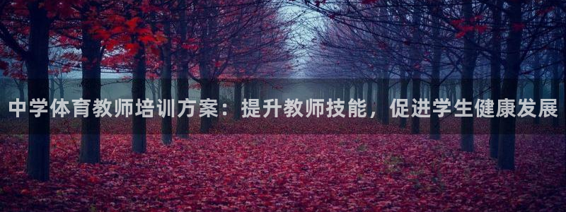 极悦娱乐贴吧百度：中学体育教师培训方案：提升教师技能