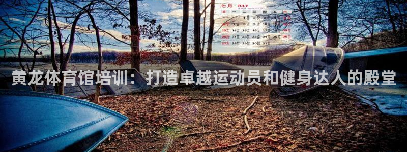 极悦官网的登录方法：黄龙体育馆培训：打造卓越运动员和