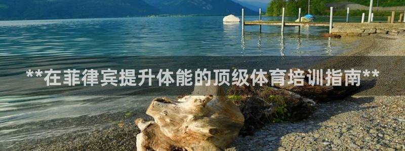 极悦平台客服团队名称