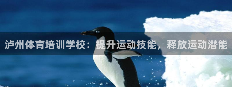 极悦官网注册最新版本更新内容是什么：泸州体育培训学校