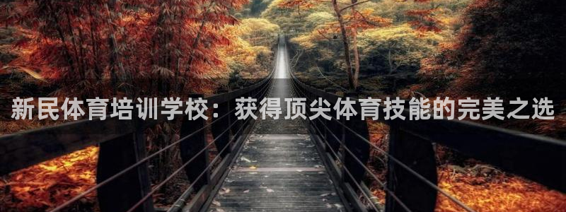 极悦平台注册失败如何解决：新民体育培训学校：获得顶尖