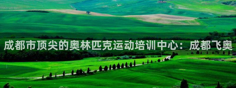 极悦官方网站app下载软件：成都市顶尖的奥林匹克运动