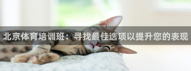 极悦平台注册用户名生成器是什么：北京体育培训班：寻找