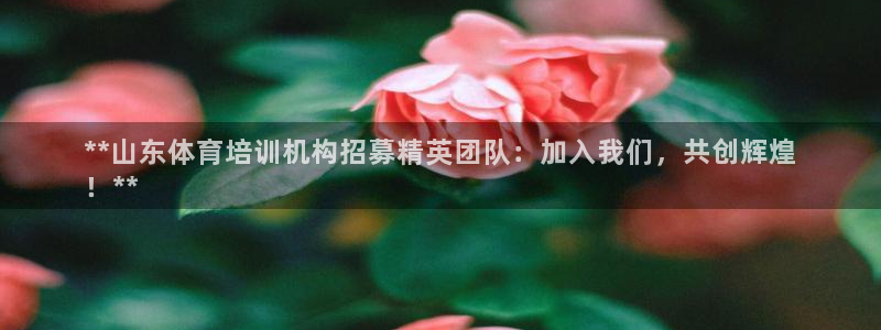 极悦平台官方网站首页入口