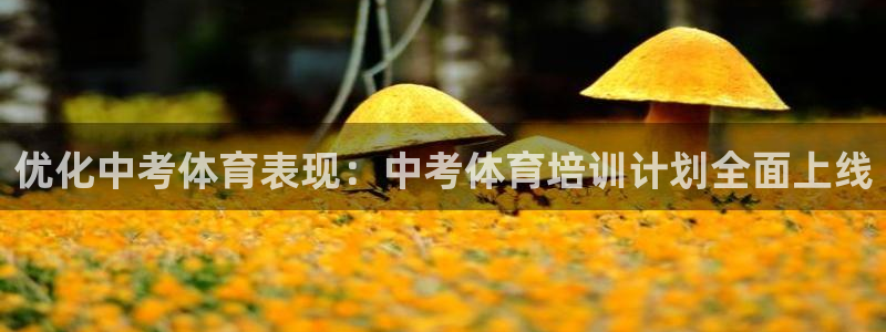 极悦娱乐官网最新版本更新内容下载：优化中考体育表现：