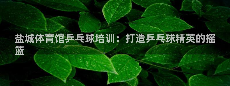 极悦平台官网下载中心：盐城体育馆乒乓球培训：打造乒乓
