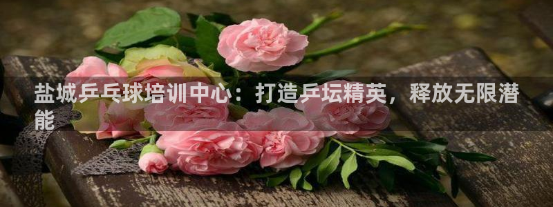 极悦平台官网登录不了怎么办：盐城乒乓球培训中心：打造