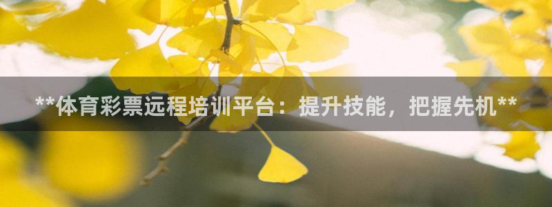 极悦平台注册用户名生成器是什么：**体育彩票远程培训