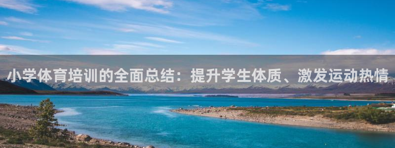 极悦平台股东名单：小学体育培训的全面总结：提升学生体